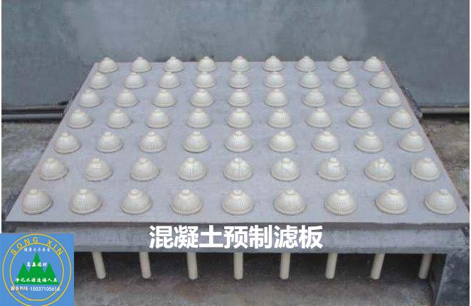 濾板,混凝土濾板,混凝土預(yù)制濾板 濾板,混凝土濾板,混凝土預(yù)制濾板